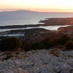 Novotny Crveni